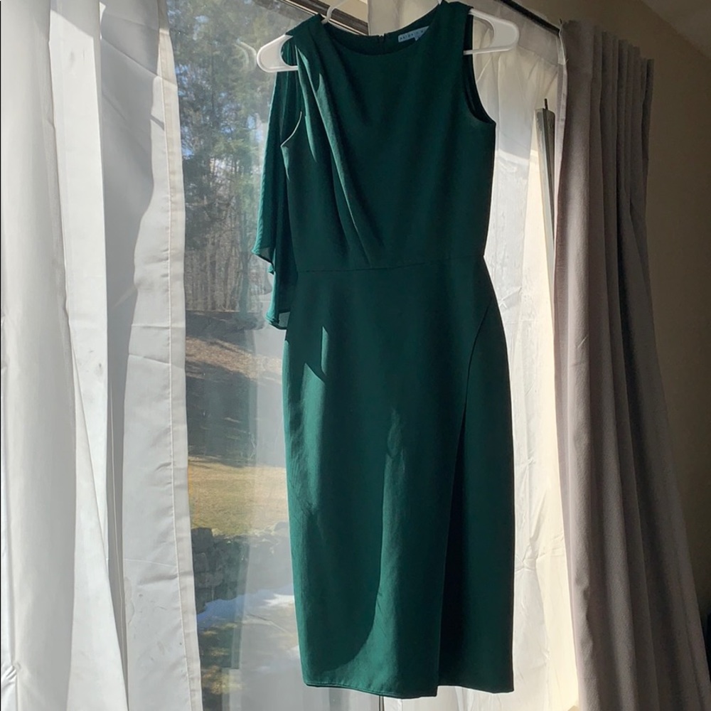 Antonio Melani Evergreen Dress